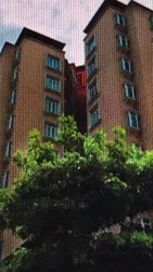 Robertson 100 (D9), Apartment #159766432